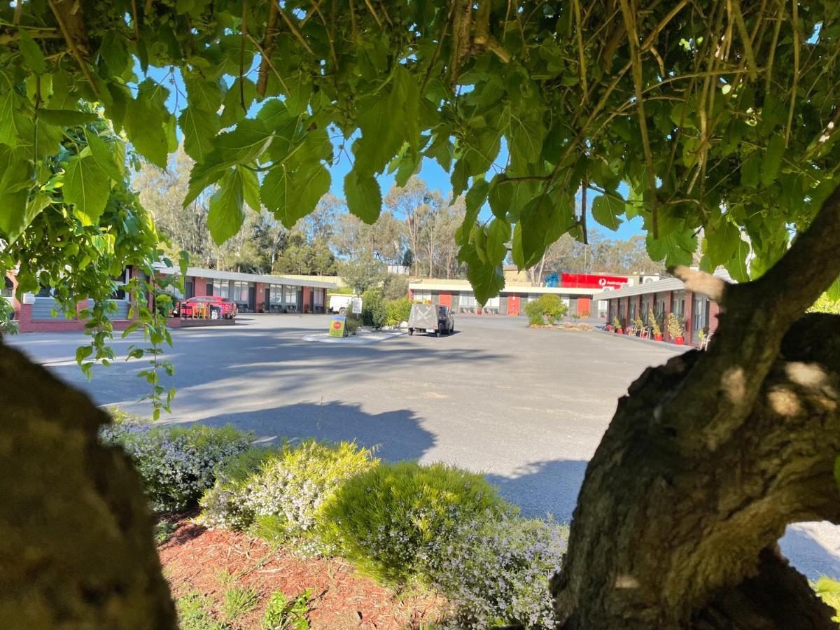 Seymour Motel Екстериор снимка